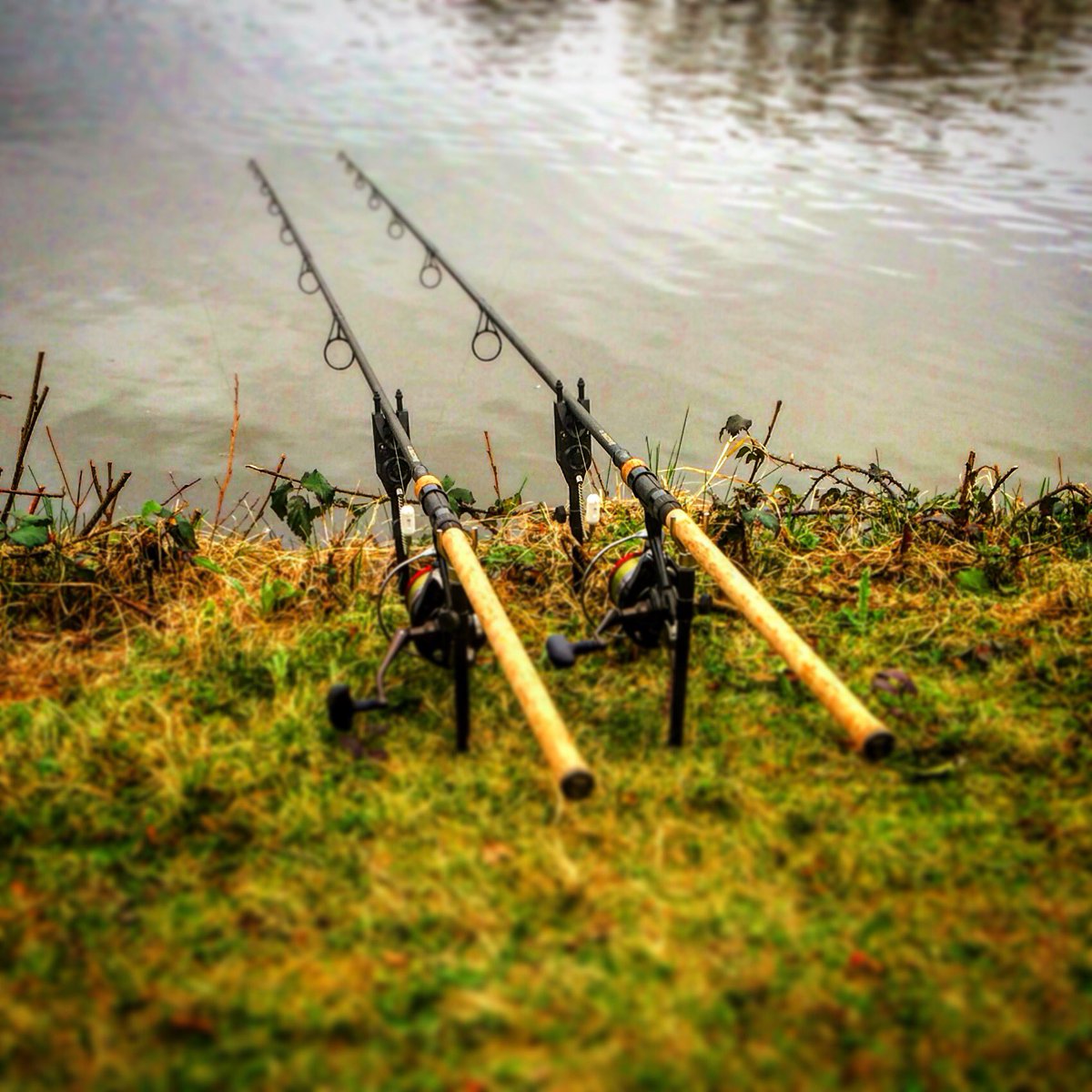 carpmarathon's tweet photo. Finally i'm bankside #ShortSessionSunday https://t.co/KQmka0OIol