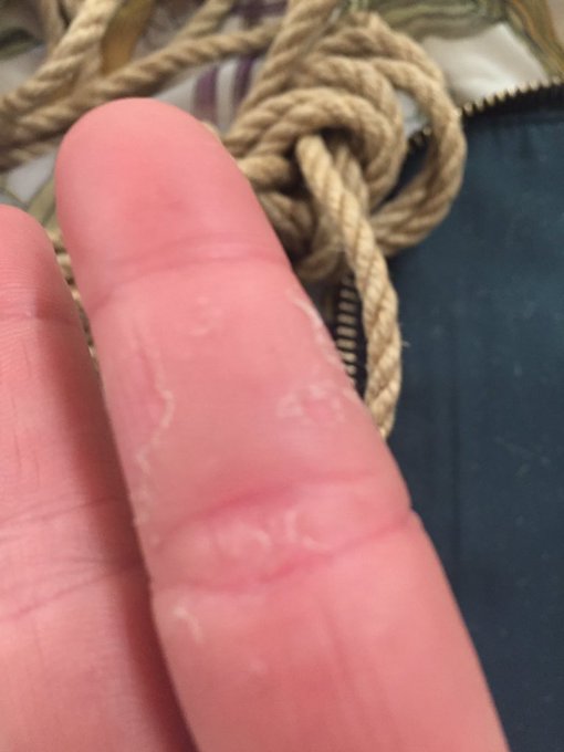 Thank you Helsinki! One intensive down, two and a half weeks more of rope to go- next up Berlin and Eurix<a href="/tag/trumpkin"class="tags"><span>#trumpkin</span></a>