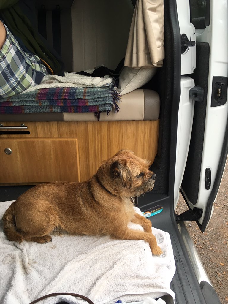 woodythebt's tweet photo. Iz in me favourite post-walk spot #vandug https://t.co/i3A8o06qzx
