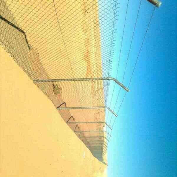 shbock1's tweet photo. #امطار_الرياض
مقاول شبوك وتوريد نخيل 0554689106 https://t.co/cuxCmlh2W2