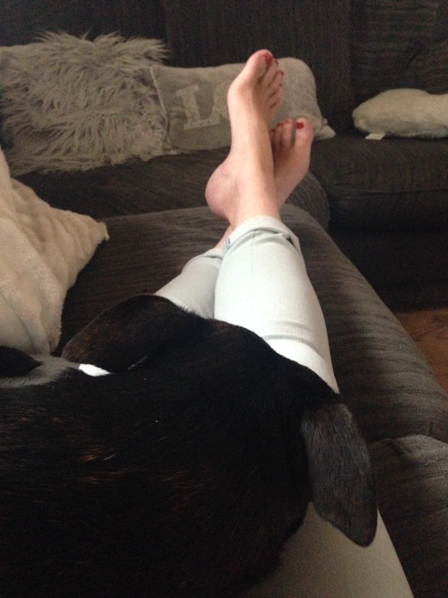 missdevine100's tweet photo. How many of you wish you were my dog? 😂😂 #findom @RTPromo_2 @RT @underdeskloser #tribute #FootFetish https://t.co/Ko7RyS8D98