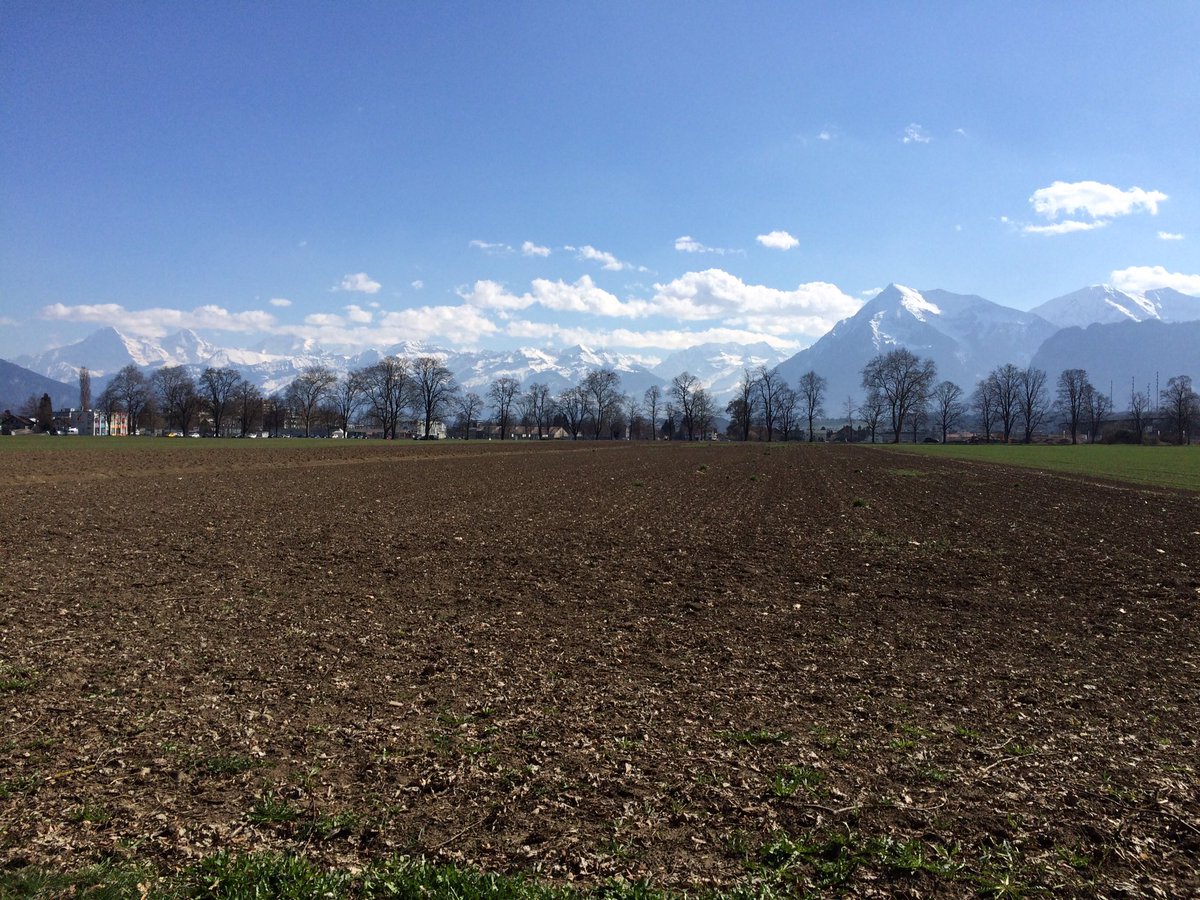k_kathi's tweet photo. der #frühling kommt! ;-) 
#thun #spaziergang #sonne #genuss #frei #niesen #alpkette #todo #glücksmoment #ich https://t.co/U5kU9i7ta0
