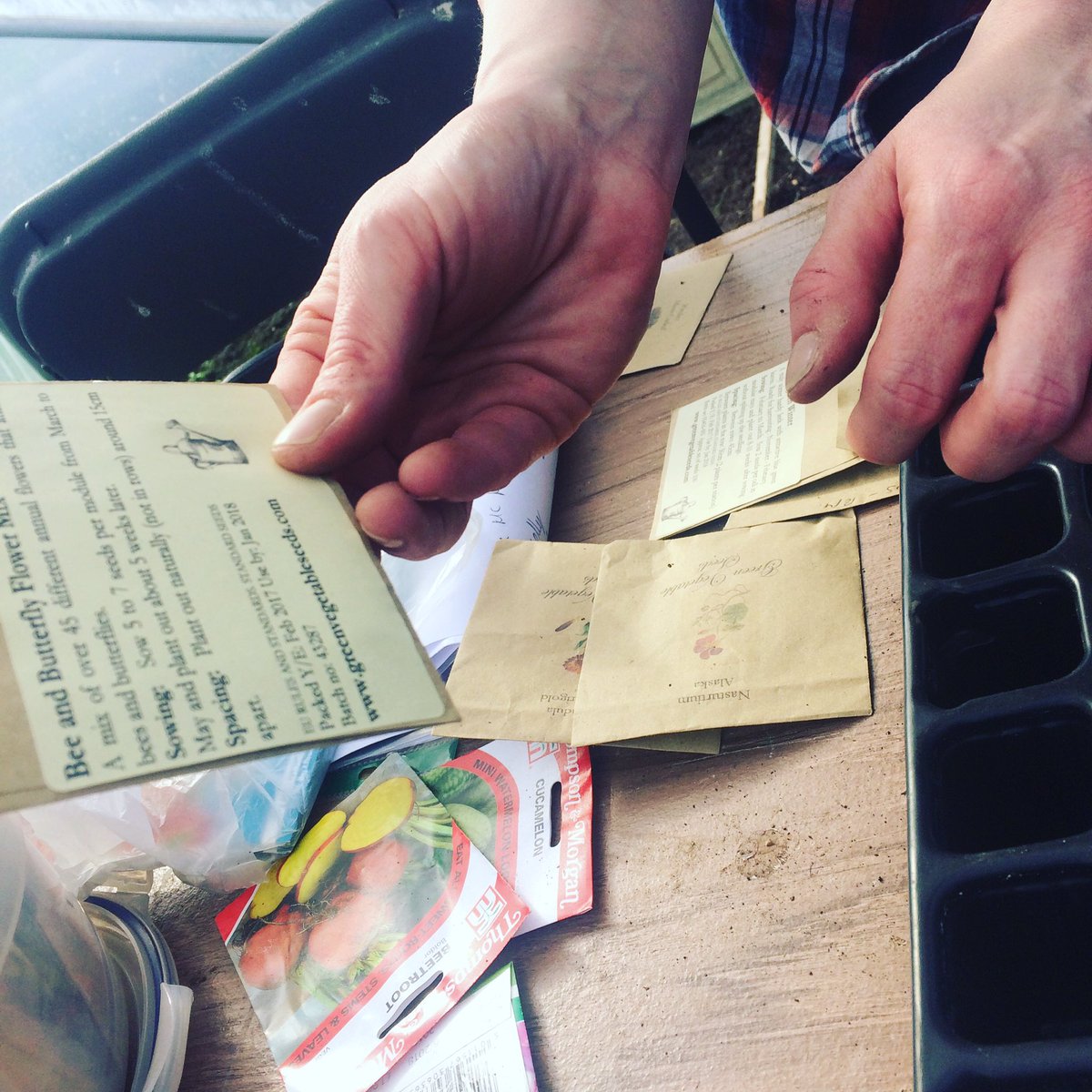 gardeningmagh's tweet photo. Seed sowing today at the garden! Time to pick what to grow. #giantveg #potonorplantout @kgardencooks @lyndsey_tavares @letscookandgrow https://t.co/wGSn2vIJvz