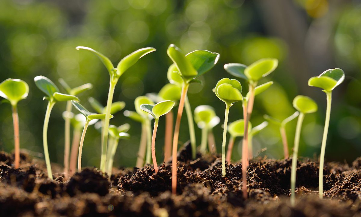 1 small change to make a big difference? "Support local and sustainable agriculture" - Tim Wise (via <a href="/foodtank/">Food Tank</a>). ow.ly/Twa7309R34X