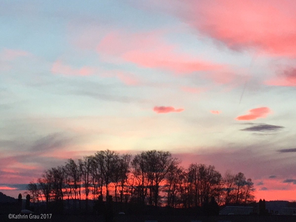 KathrinLC's tweet image. Tonight's colorful #sunset #StormHour #PhotoHour