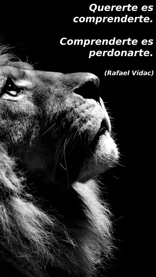 Rafael Vídac ★ tweet media