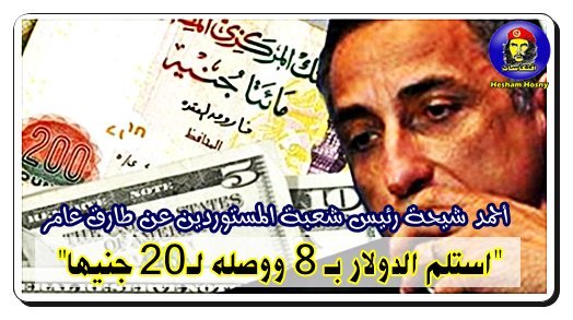 أحمد شيحة رئيس شعبة المستوردين يهاجم طارق عامر "استلم الدولار بـ 8 ووصله لـ20 جنيها"