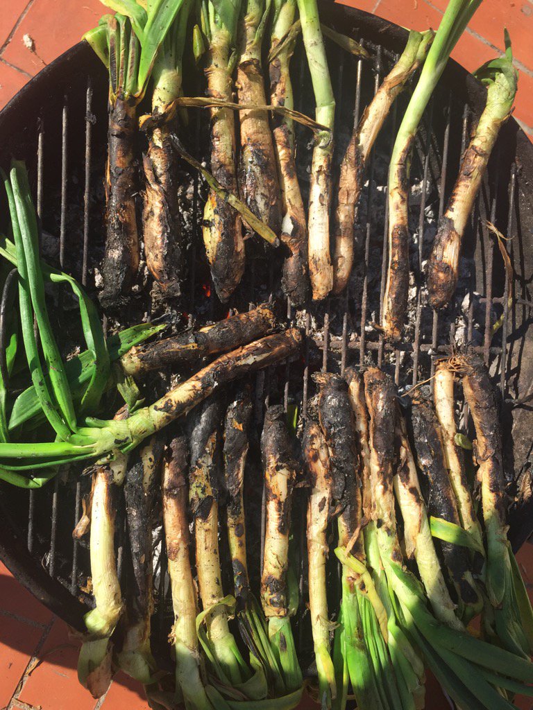 mdgoulding's tweet photo. It ain't spring in Catalunya until you burn a shitload of onions. #calçotada https://t.co/OsgBBe1YHY