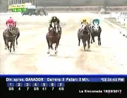 SlewPrince's tweet photo. #HIPISMO PANZER BARCELONA con el SUPER JOCKEY y mas nada! RUFFIUS? hoy no, el #THOROGRAPH me dijo q era la #MORTADELA del día, paga poco https://t.co/8yoit5zPqU
