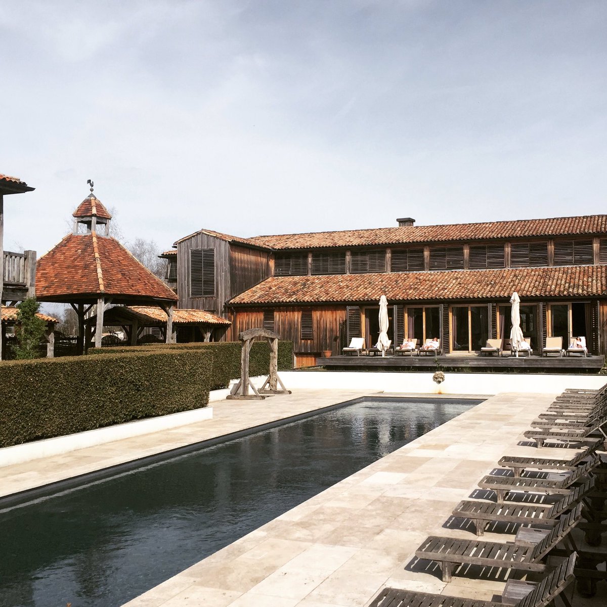 Adam Hay-Nicholls tweet media