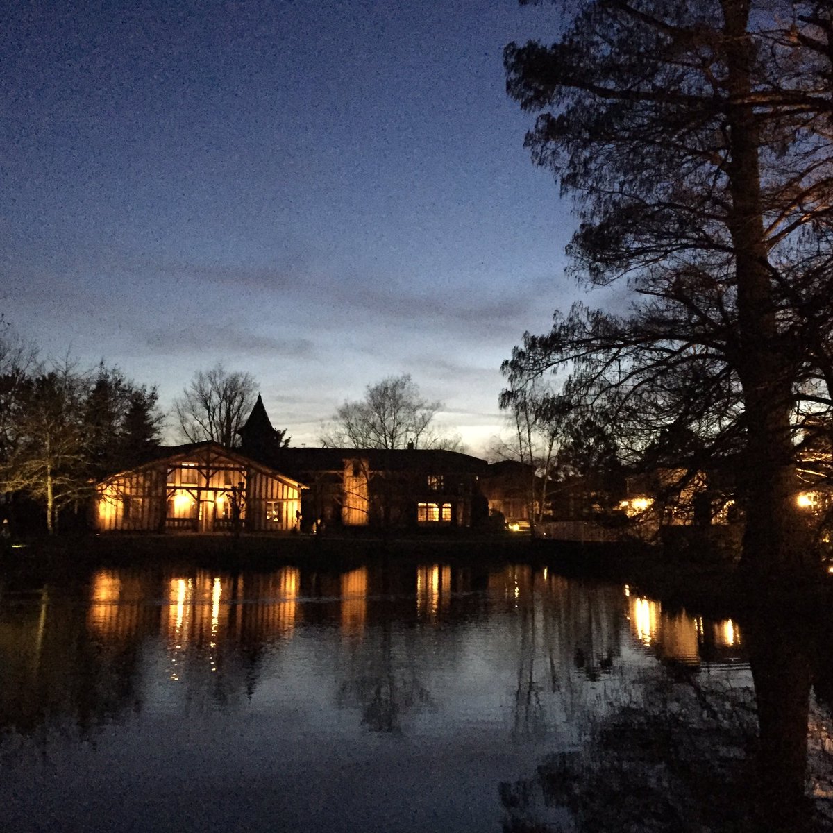 Adam Hay-Nicholls tweet media