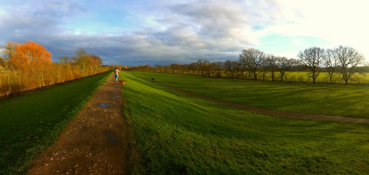 No21York's tweet photo. Glorious evening for a walk along Rawcliffe Meadows.
#AmazingYork #Sunset #DogWalks #LoveYork https://t.co/SGRr2QcxV7