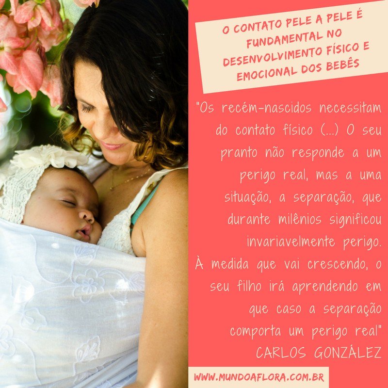 mundoaflora's tweet photo. O recém-nascido está acostumado a um ambiente com poucas mudanças. Dentro do �... https://t.co/mHwczV9zgN https://t.co/WVn1rTykeg