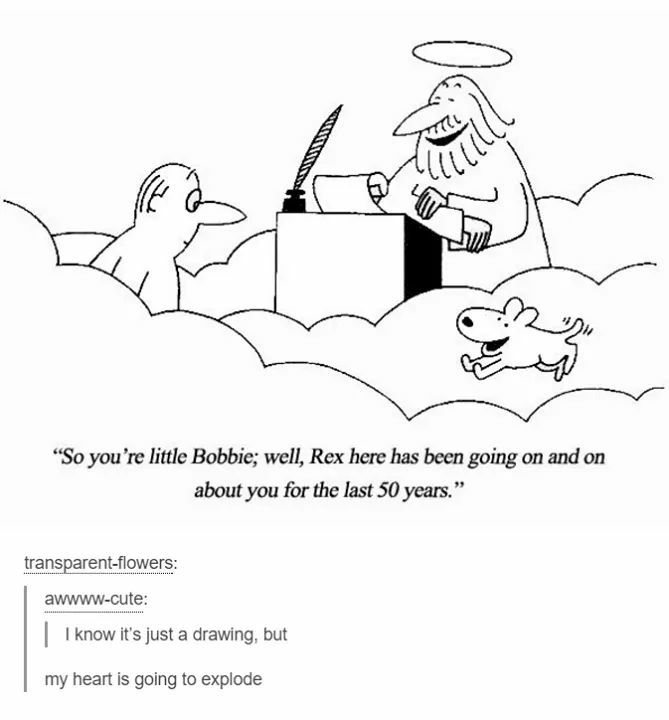 barksnrec's tweet photo. Reunited with all your lifetime pet pals? Awesome!!
#dogcomic #alldogsgotoheaven #barksnrecbc #bnrbc https://t.co/zQGB14rauV