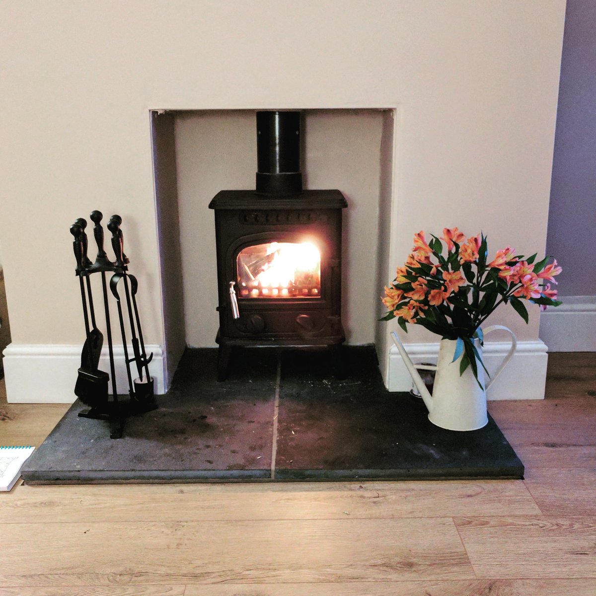 ren_nicoll's tweet photo. Just absolutely love my fire #woodburningstove https://t.co/8uC2dej9xU