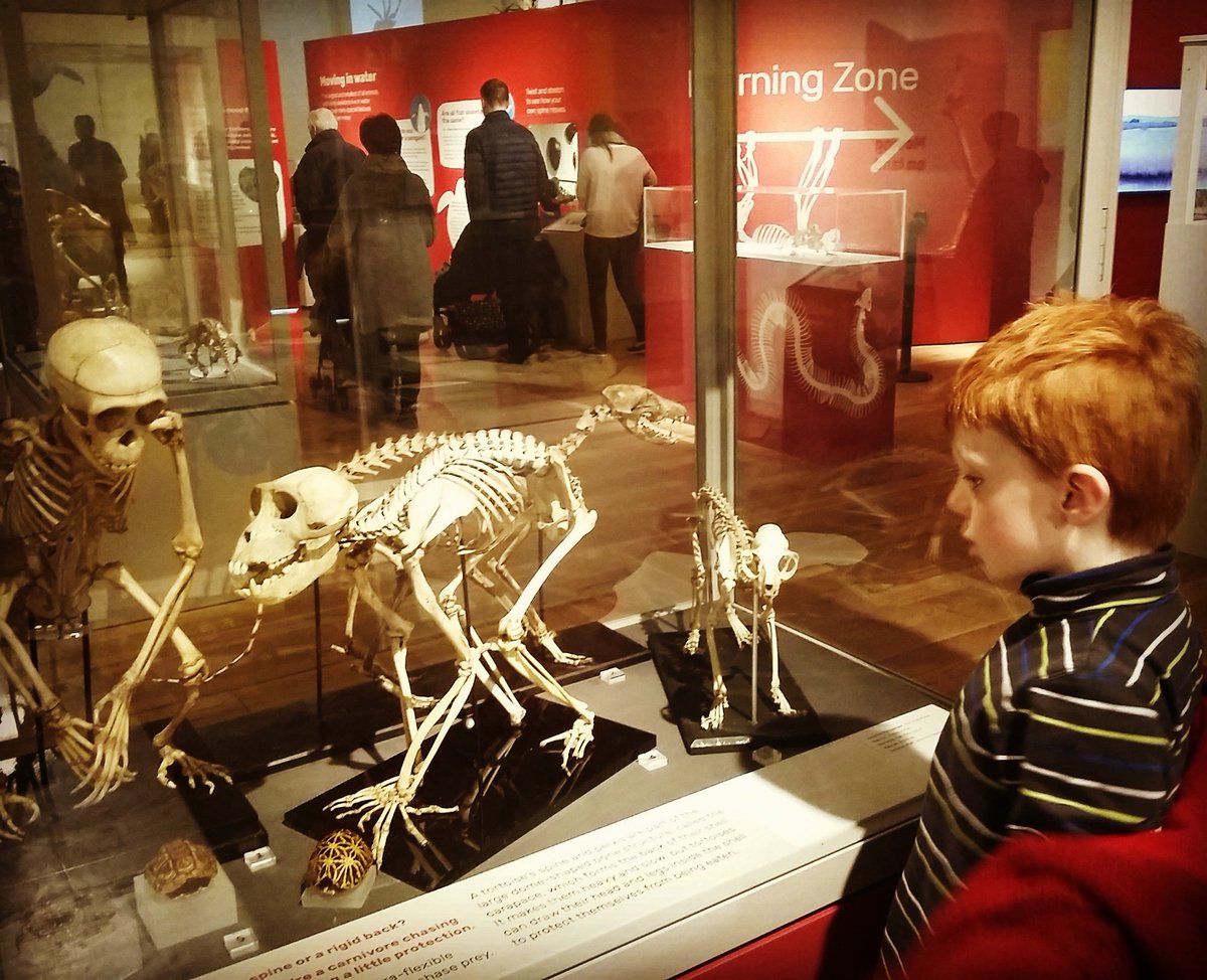 Thanks <a href="/GNM_Hancock/">Great North Museum: Hancock</a> we had a great day. #Newcastle #museum