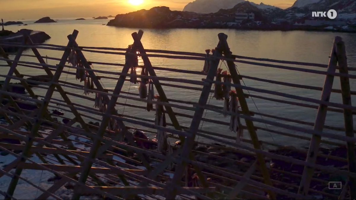 #Skårungen på NRK viser fantastiske bilder fra #Lofoten og alt som går an å gjøre der! xxlofoten.no