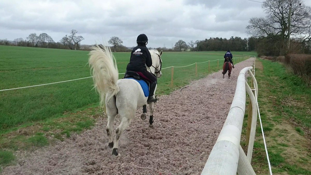 vinyl_vision's tweet photo. Awesome day with @WocketWoyTeam @pontispool 2 very happy kids and 1 very tired Mr Pickles! #EquineHour #wocketwoy #galloping #connemarapony https://t.co/jsAzsDiDG8