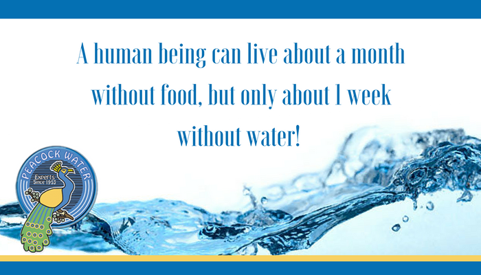 PeacockWaterOH's tweet image. Did you know? #WaterFAQ #PeacockWater