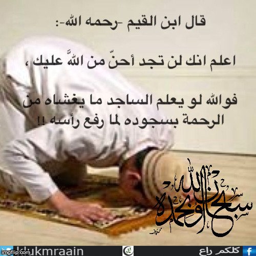 KlukmRaain's tweet photo. لن تجد أحن من الله عليك
 #قطوف_دعوية #ومضه_حرف @abdallh_RT @K0WeeT #منتقى_الدرر #مداد_الكلمات #قروبات_الخير #كلكم_راع  #غرد_لتثاب https://t.co/s88FSpLobK