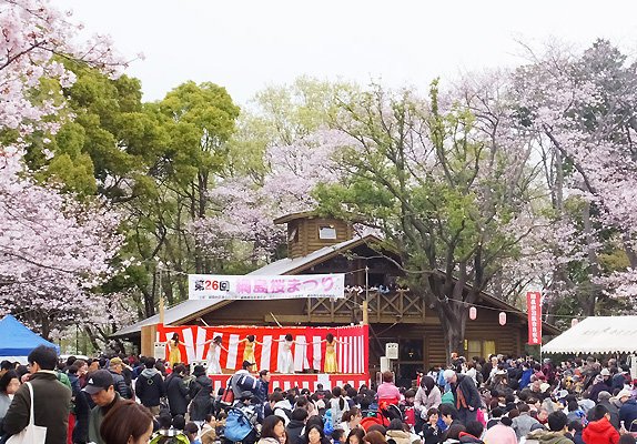 綱島公園桜まつり