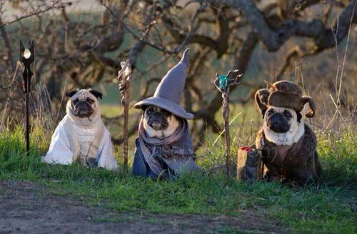 SamSykesSwears's tweet image. RT if you agree