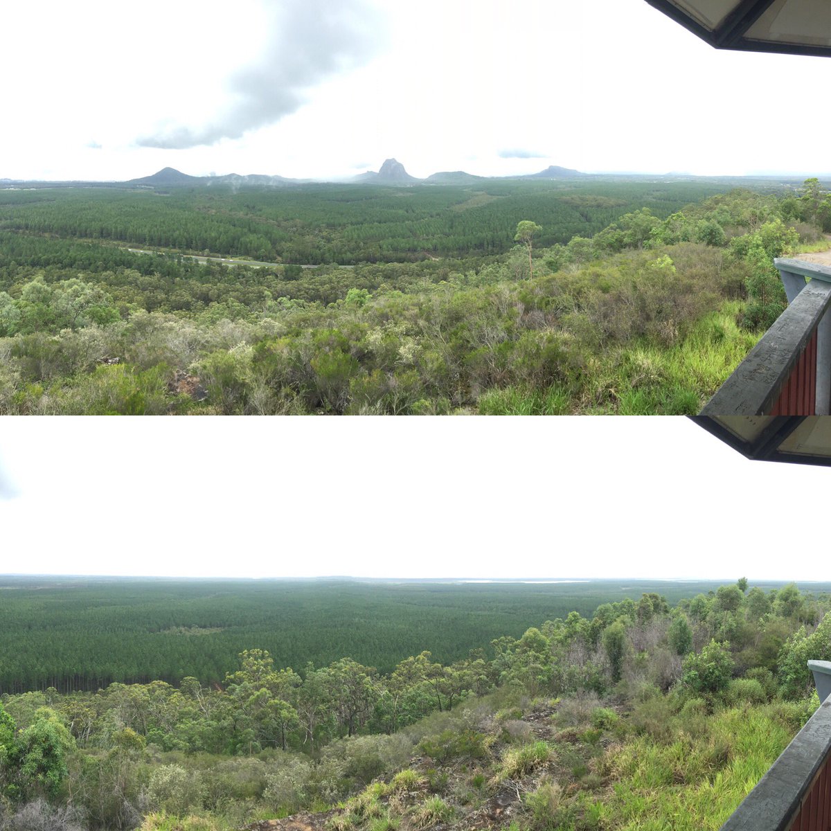 massey_dec's tweet photo. Wild Horse Mountain Lookout panoramic.
#wildhorsemountainlookout #glasshousemountains #panoramic #worththewalkup #takingthescenicroute https://t.co/VpQ3vkcEqz