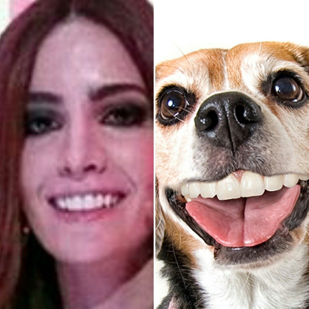 GHadictaEH's tweet photo. #aylen no puedo con tu sonrisa!! obvio! @Aylenmilla 
#DBT10GHVIP5 #GHVIPDirecto #ghvip5 #aylenfueradelvip https://t.co/ykr2hZOihV