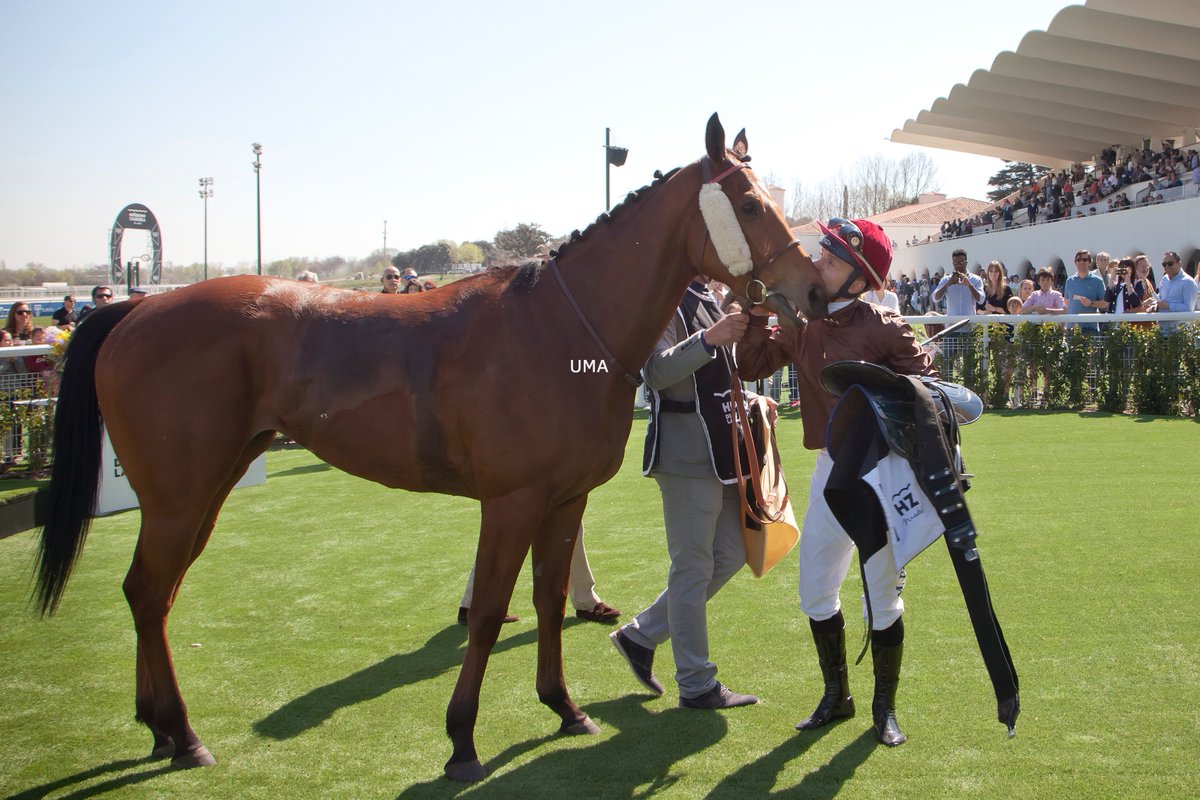 UMA 🏇 (@UMATURF) on Twitter photo 2017-03-19 22:14:04 A Fongani (Alain Jathiere-@BrogiSimon) le gusta Madrid. @Foulon64Foulon le agradece la victoria en el Premio Atlántida. @TurfZH A Fongani (Alain Jathiere-@BrogiSimon) le gusta Madrid. @Foulon64Foulon le agradece la victoria en el Premio Atlántida. @TurfZH