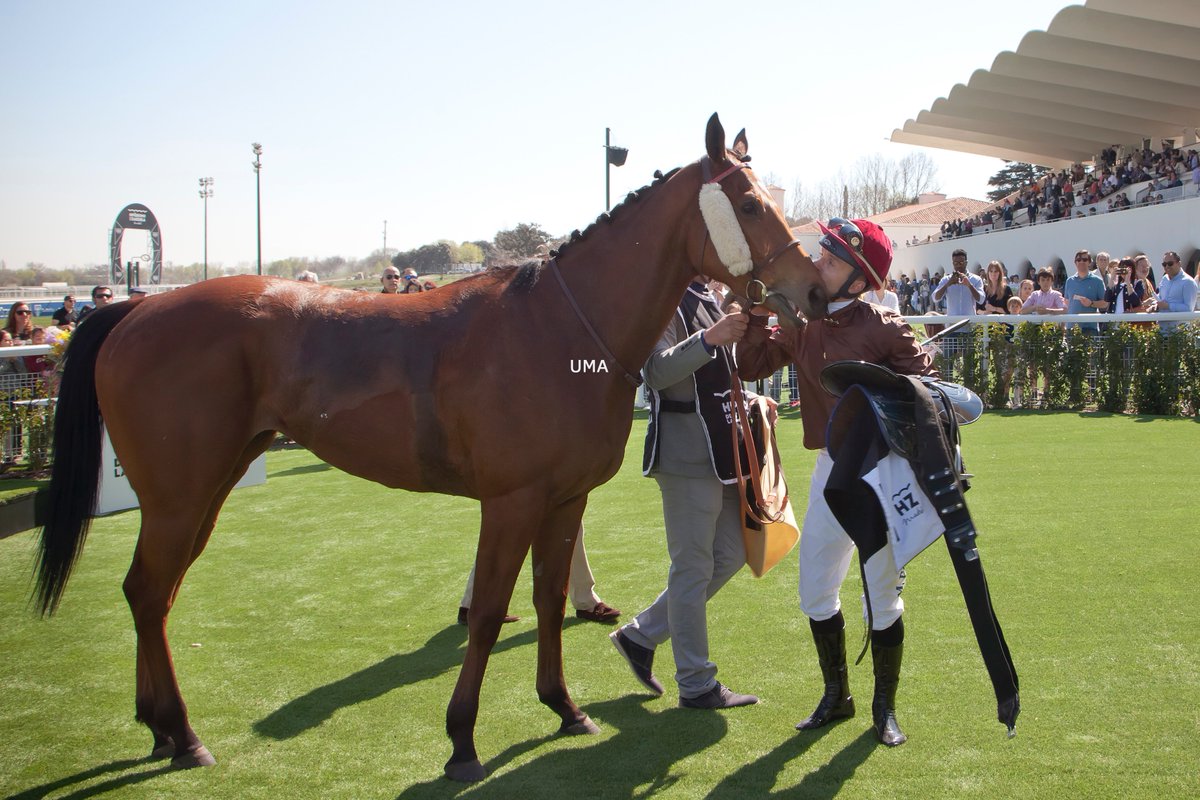 A Fongani (Alain Jathiere-@BrogiSimon) le gusta Madrid. @Foulon64Foulon le agradece la victoria en el Premio Atlántida. @TurfZH