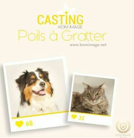 komlavidadzie's tweet photo. Le grand casting « Poils à Gratter » 
Pour participer, rendez-vous sur 
 https://t.co/iVkSFoOad6 #Chateauroux #komimage #Photography https://t.co/NqjW7cwPZJ