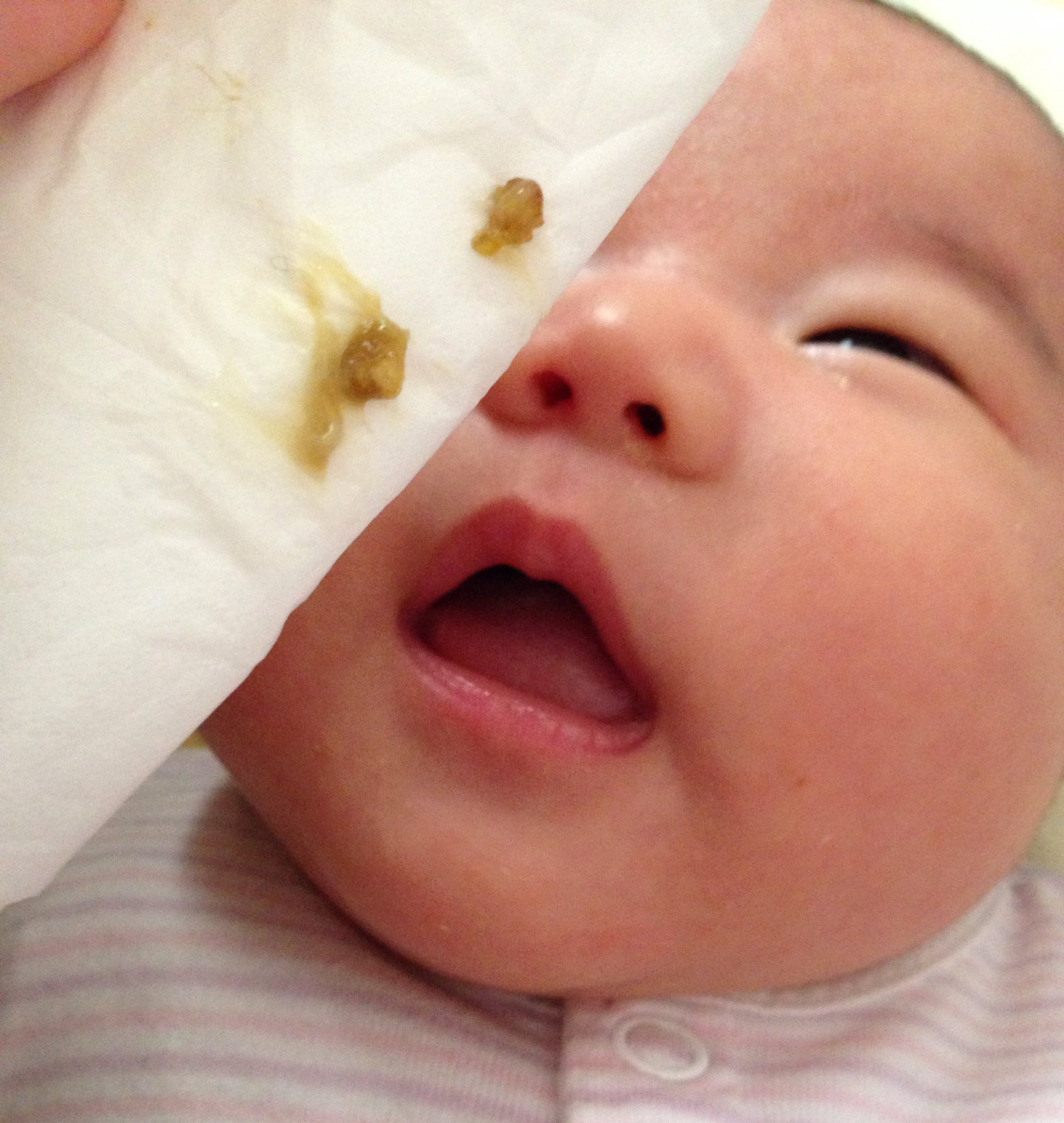 Twitter 上的 まないぬあんな 3 6 45授乳 おしっこ 鼻の穴より大きい鼻くそが両方詰まってて 呼吸しづらく大泣き 毎朝の日課 生後1ヶ月 年子育児 T Co 87qdiho985 Twitter