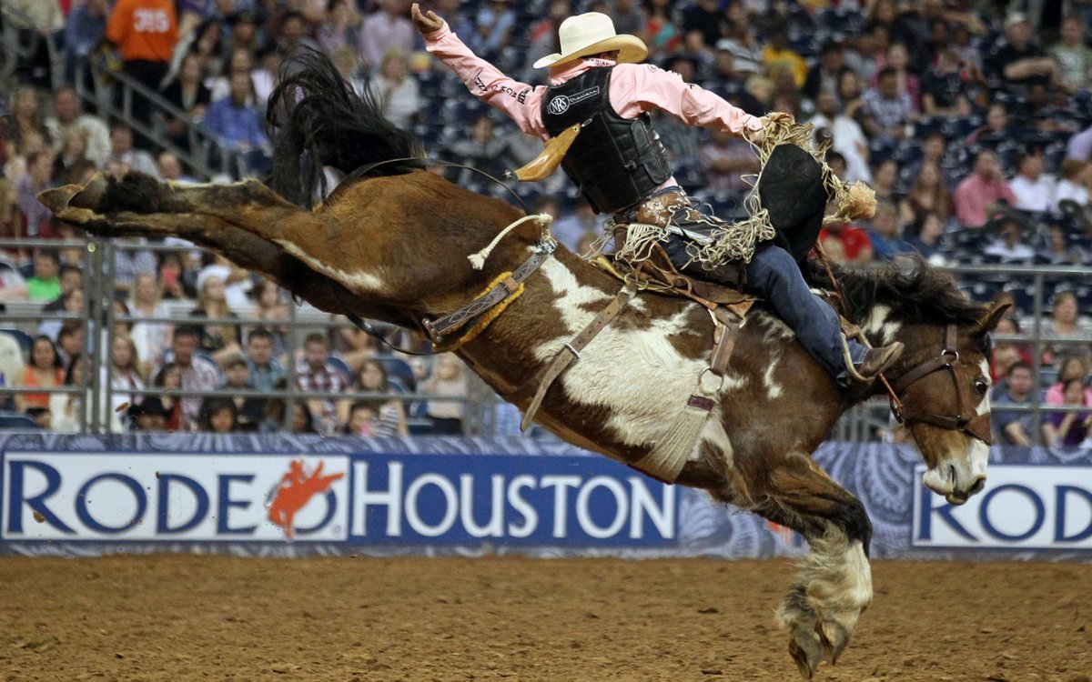 VisitHouston's tweet photo. .@Forbes calls @RODEOHOUSTON one of the biggest events in America. https://t.co/0YyDdDjnKT #MyHouston https://t.co/8ejiLsKA2x