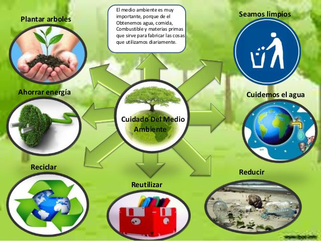 RECICLACCION tweet media
