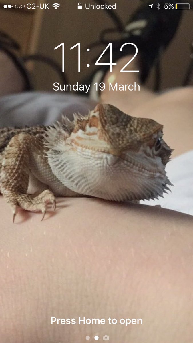 JRichey01's tweet photo. I love this little guy so much 💙 @ScottSorleyyy @ProSyndicate https://t.co/heUMCmjP2f