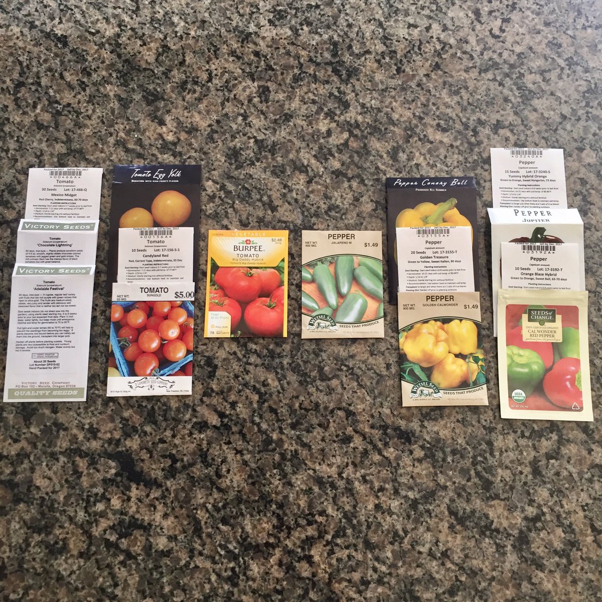 tracy_woods_'s tweet image. My #topseed #tomato &amp;amp; #pepper veggie garden bracket started today #gardening plantsmap.com/collections/31… @JenMGardens @passthepistil