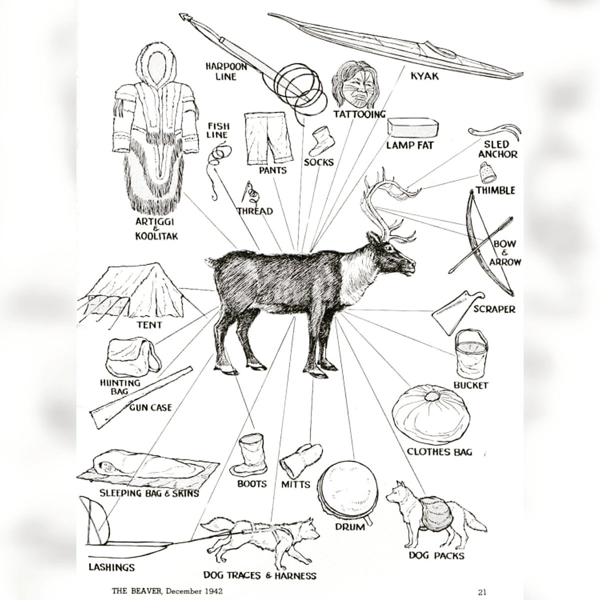 Resistance150's tweet photo. DYK: #Inuvative uses of tuktu (caribou)?
#Inuit #InuitNunangat #Resistance150 https://t.co/YcWJchFOkf