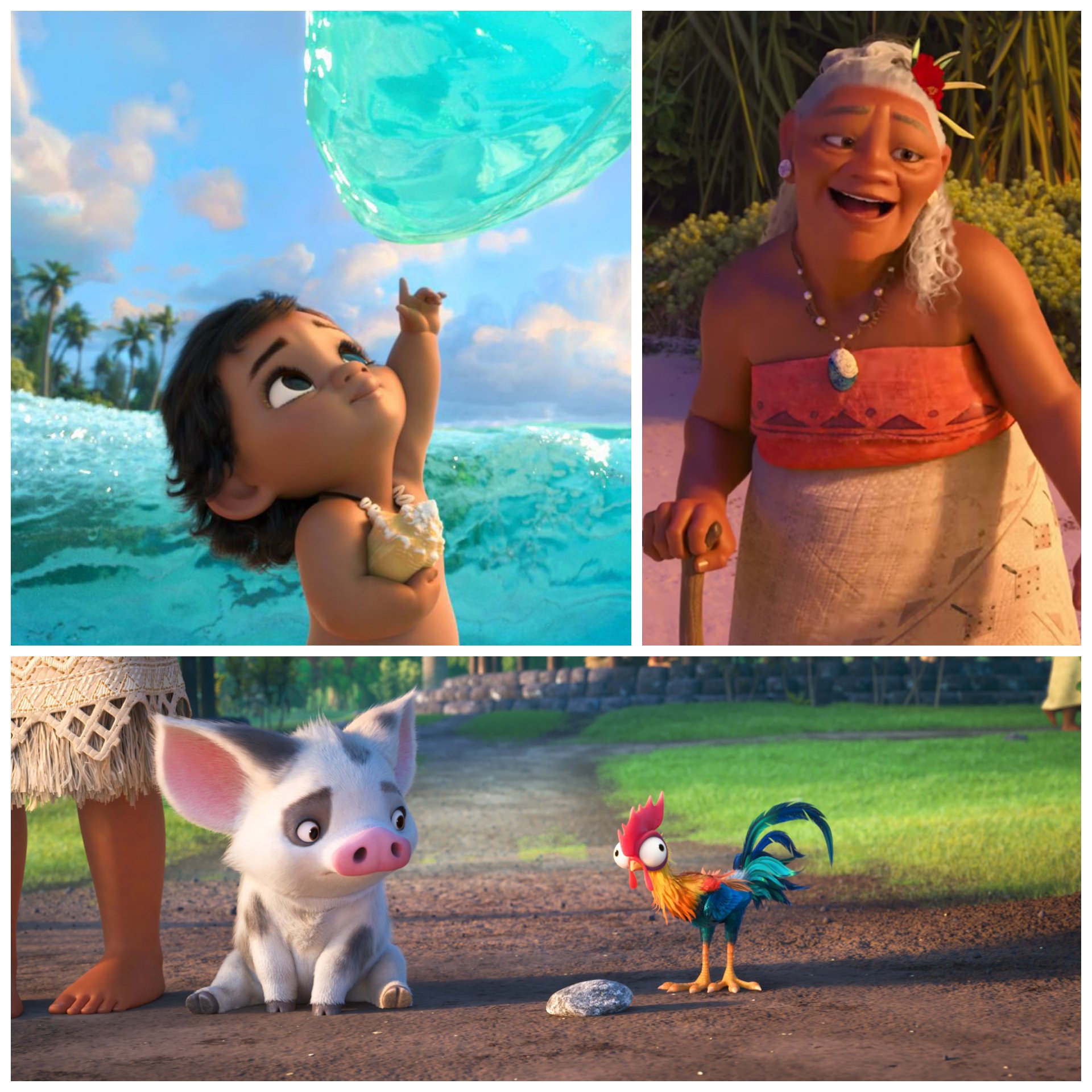 小野寺系 Kei Onodera Kmovie モアナと伝説の海 の登場キャラクターの名前 は ハワイ語やマオリ語などポリネシアの言語からとられている モアナは 海 や 青 祖母タラは 物語 仔ブタのプアは 子孫 や 花 ニワトリのヘイヘイは チキン