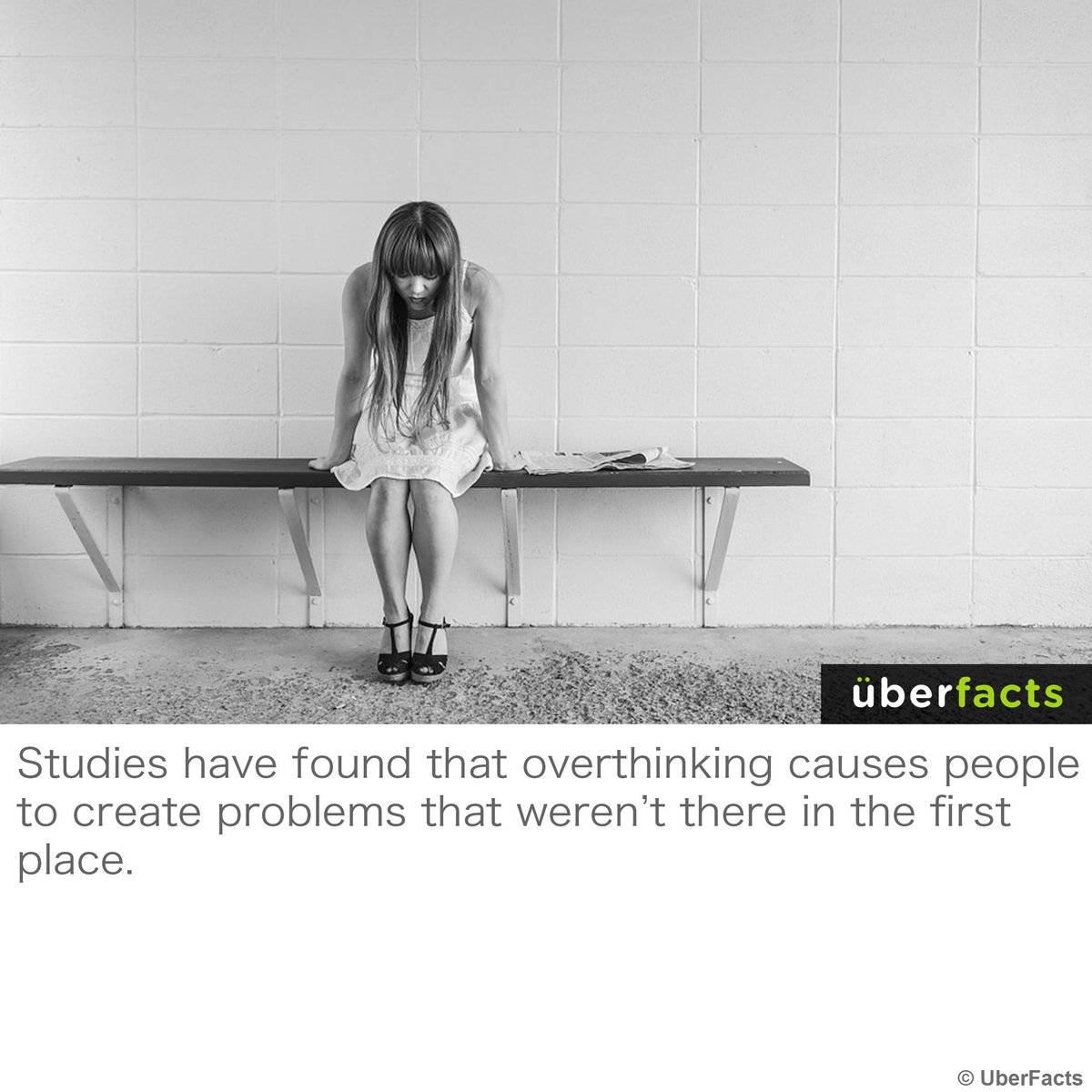 UberFacts's tweet image. It's a trap.