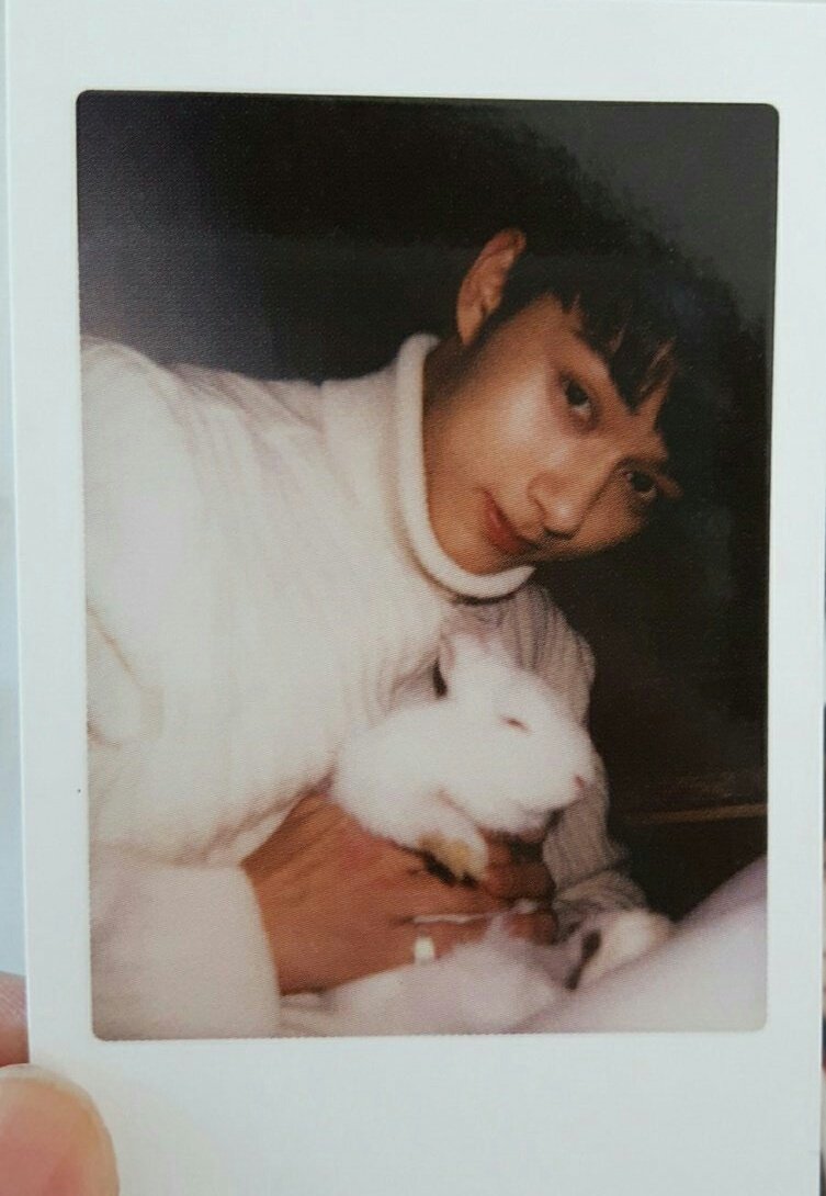 unbleached junhui (@junhuimelanin) on Twitter photo 