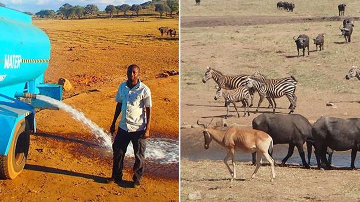 zbleumoon's tweet image. 💥💥💥 African farmer delivers #water to wild animals during drought! bit.ly/2miP5Wl #anipals #wildlife #animals #africa
