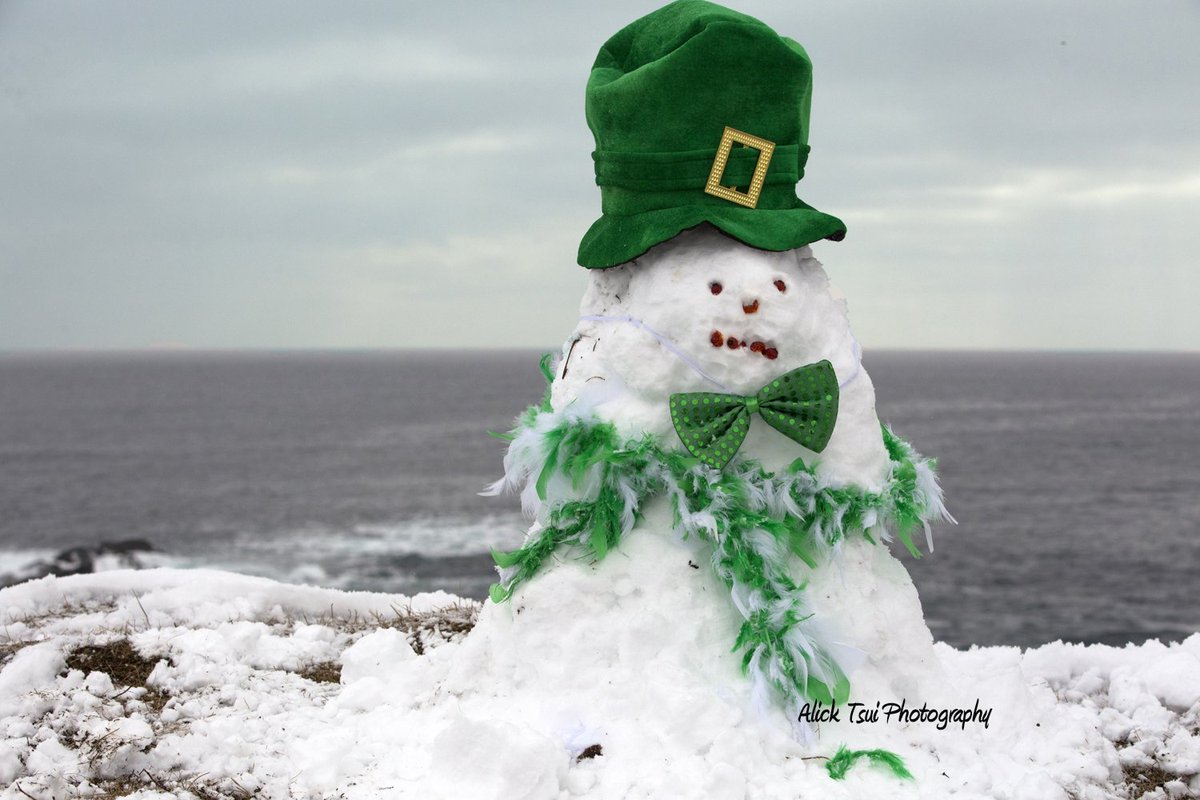 positively4ever's tweet photo. Great weather for St. Patrick's Day weekend. @EastCoastTrail #TinkersPointPath #StPatricksDay @weathernetwork #TorsCove @DestinationSJ https://t.co/jl8YZbtspZ
