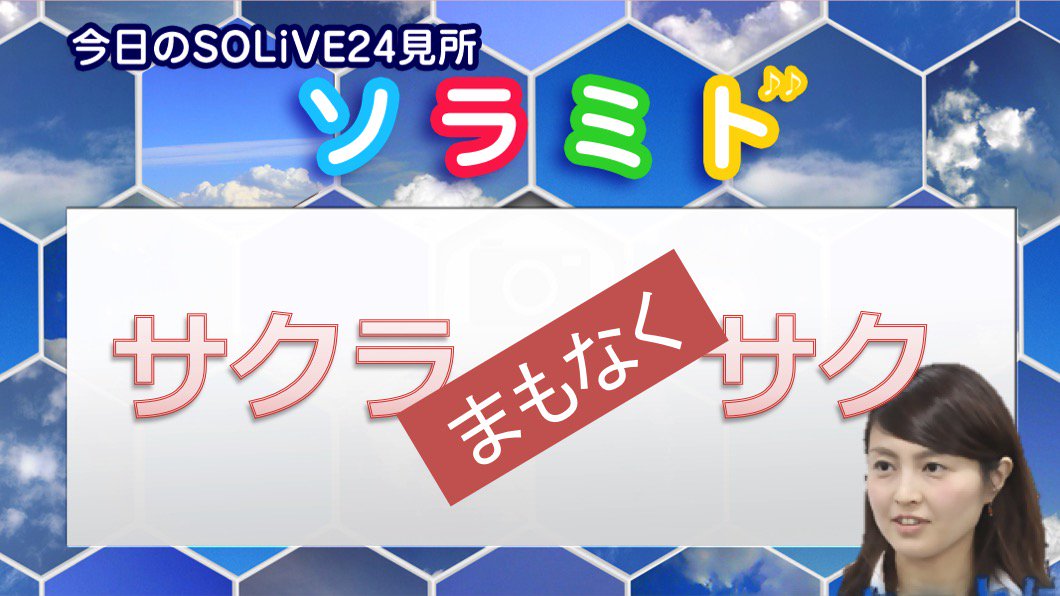 畠山清佳 畠山清佳