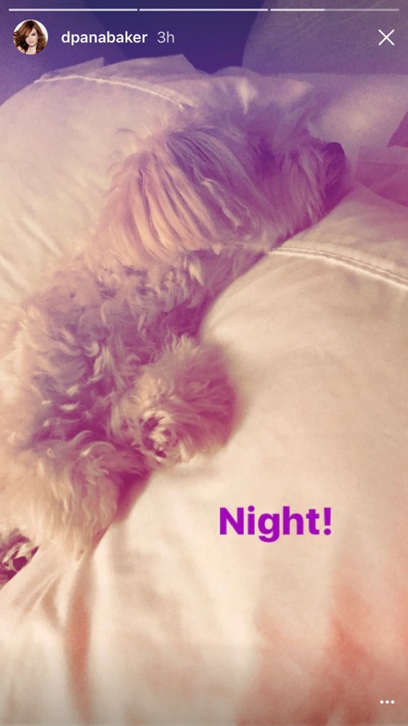 dpanabaker_fr's tweet photo. #instagram https://t.co/grCRnIN63z