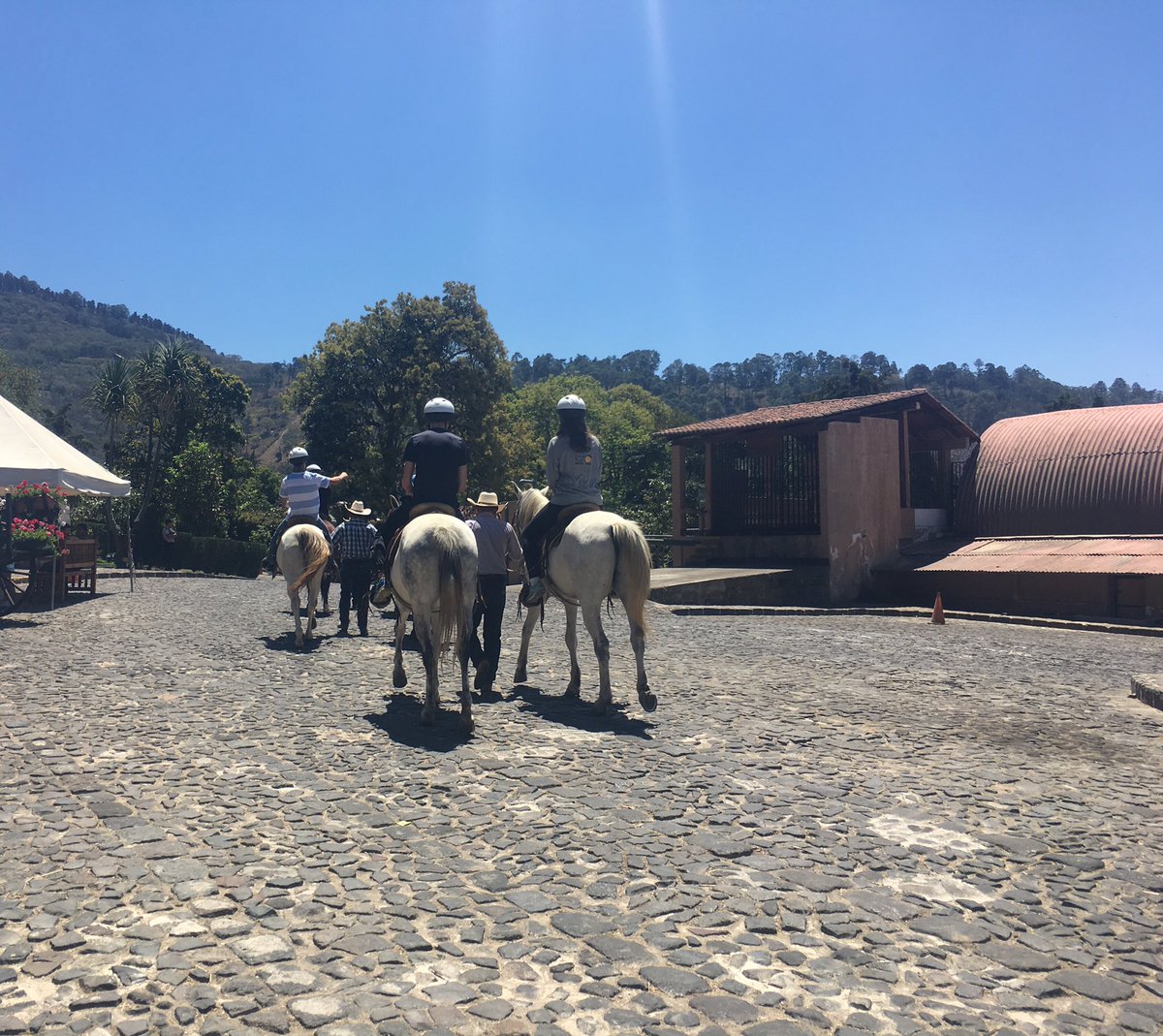 GuatsUpNobles's tweet photo. Horseback rides at Finca Filadelphia. https://t.co/GrDRMqbZdl