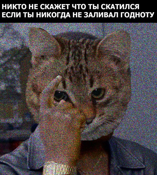C7V5gYIWwAEn-ic.jpg