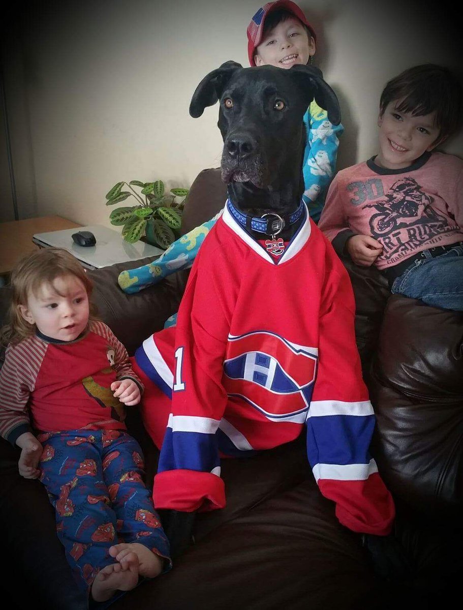 Nancy_Chauffeur's tweet image. #Canadiens
