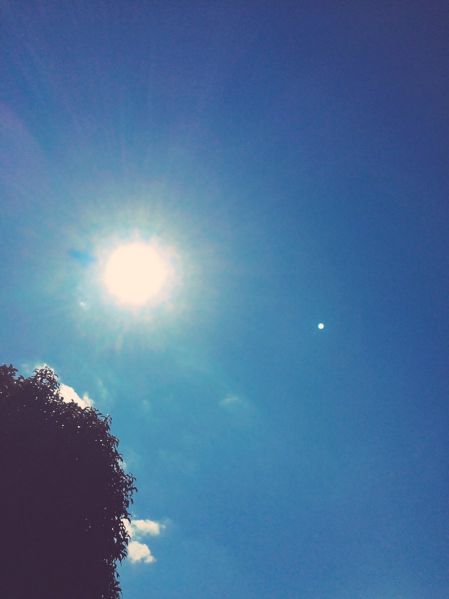 btcdefg's tweet photo. いい天気だ🌻
渋谷向かうか(≧∇≦) https://t.co/5y7iBUjC9k