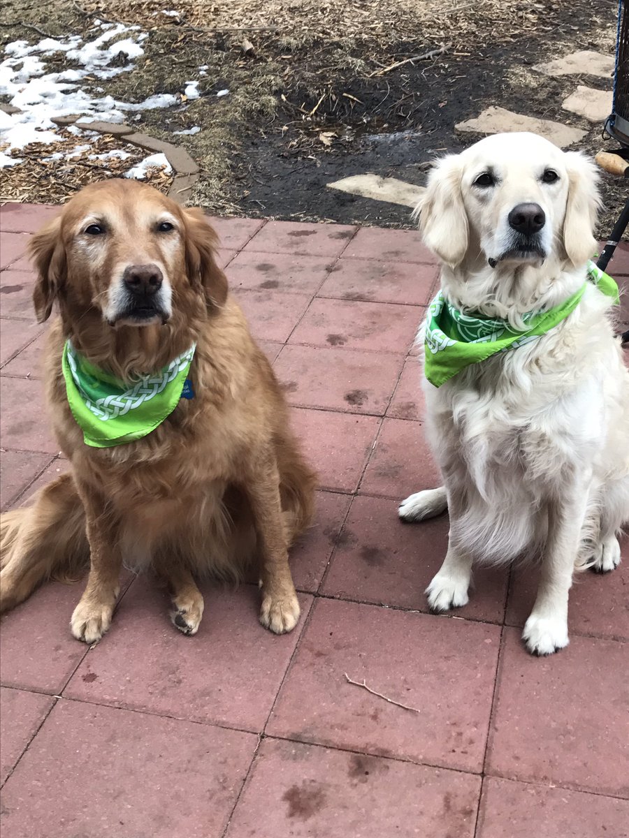 LindsayGolz's tweet photo. Happy St Paddy's π#Libbysadventures #lakeharriet #minneapolis https://t.co/HIoE7PLwBG