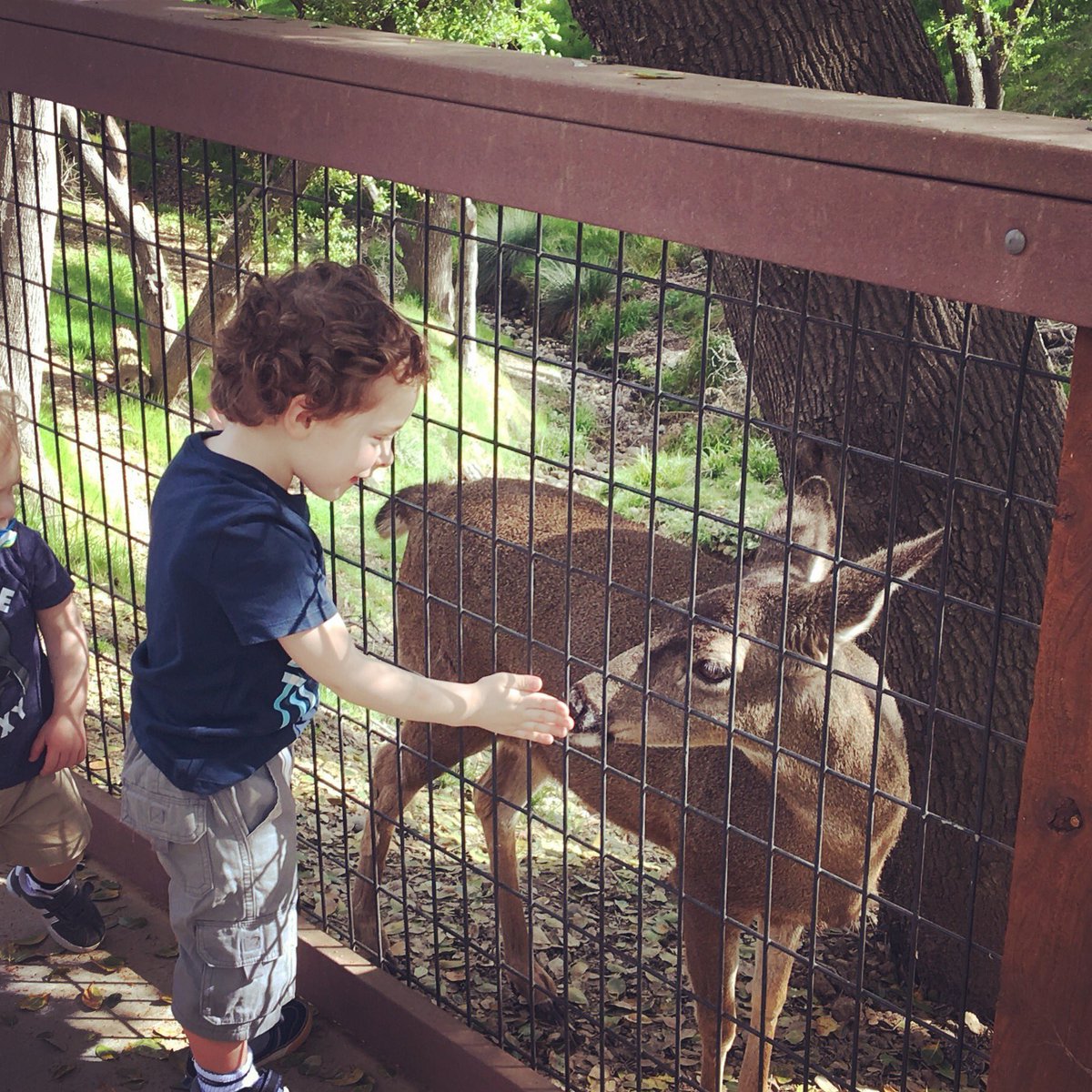 stepholution83's tweet photo. Thanks @FolsomZoo for giving my son this special moment #namaste https://t.co/tjHp3D98tz